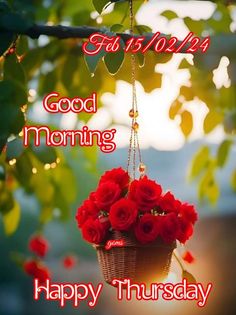 red roses in a basket hanging from a tree with the words good morning happy thursday