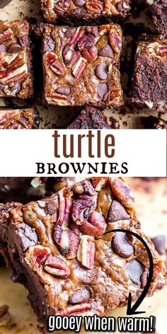 chocolate brownies with pecans on top and the words turtle brownies gooey when warm