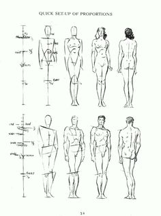 an image of human figure drawing for the beginner to learn how to draw people