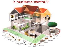 an image of a house with the words pest control get your free inspection in delhi ncr