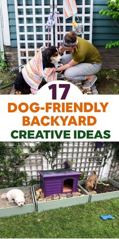 two dogs in their backyard with the words 17 dog - friendly backyard creative ideas on them