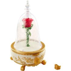 a red rose under a glass dome on a stand