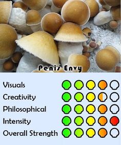 several different types of mushrooms with the words visual creativity, photoshopical intensity and overall strength