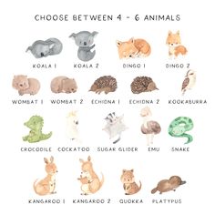 an animal chart with different animals and their names