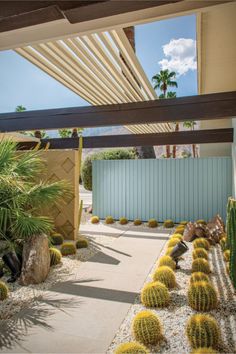 a cactus garden in front of a house