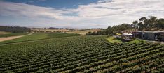 an aerial view of a farm and vineyard