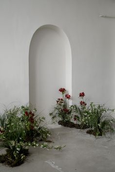 some red flowers are growing in the corner of a white wall with arches and grass