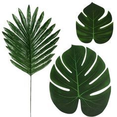 YDNGF 36pcs Artificial Tropical Imitation Plant Leaves Tropical Theme 36PCS Artificial Decoration Party Leaf Imitation Home Decor 36PCS Artificial Tropical Imitation Plant Leaf Hawaiian Party Theme Decoration Product description Scatter these artificial leaves all over the event venue orstick some onto the walls, Put them into blank vases. Create an authentic tropical island atmosphere , Make youand your guests feel like you are in paradise with these superrealistic simulation leaves. Why Choose Décoration Baby Shower, Artificial Palm Leaves, Hawaiian Party Theme, Luau Party Decorations, Hawaiian Luau Party, Luau Theme, Faux Leaf, Beach Themed Party, Safari Jungle