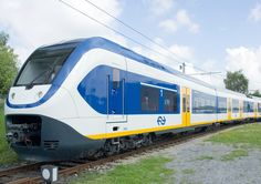 a blue and white train traveling down tracks next to a lush green field on a sunny day