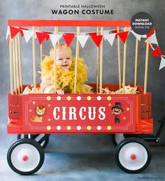 a baby in a circus wagon with flags and bunting on the sides that says circus