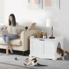 a woman sitting on a couch next to a cat looking at a laptop computer screen