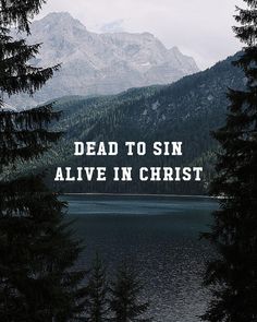 the words dead to sin alive in christ are surrounded by pine trees and mountain peaks