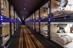 bunk beds are lined up in a room with lights on the ceiling and carpeted floor