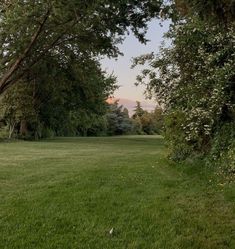 an open field with trees and grass in the foreground