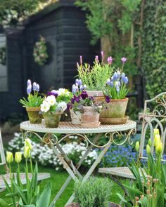 several potted plants are sitting on a small table in the middle of a garden