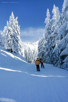 two people walking up the side of a snow covered ski slope with trees in the background