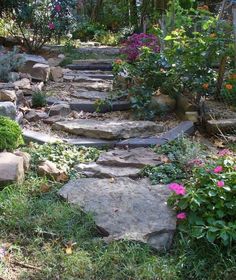 there is a stone path in the garden