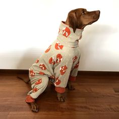 a brown dog wearing pajamas on top of a wooden floor next to a white wall