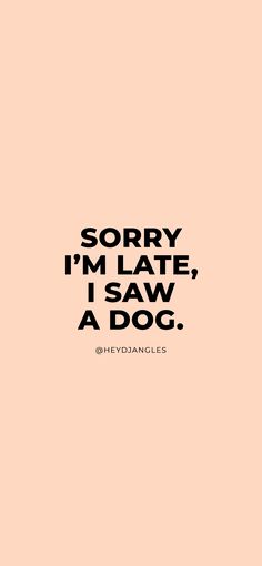 the words sorry i'm late, i saw a dog