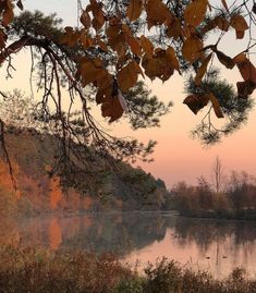 a lake surrounded by lots of trees in the middle of autumn with leaves on it