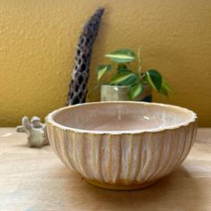 a ceramic bowl sitting on top of a wooden table next to a potted plant