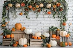 Herbst Kürbis weiß Backstein Kürbis Stand Hintergrund BRP7-140 Fall Photo Booth, Shoot Background, Back To School Photography, Pumpkin Stand, Harvest Fest, Backdrop Stands, Pumpkin Stands, Custom Backdrops