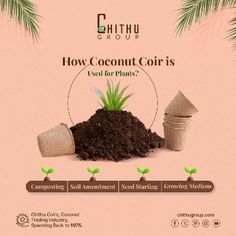 an advertisement for the coconut coir is shown in front of a pink background with palm trees