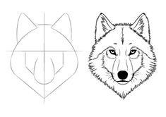 how to draw a wolf's head step by step