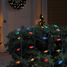 a christmas tree with lights on it in front of a door and some wreaths