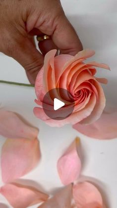 a person holding a flower in their hand and petals on the ground next to it