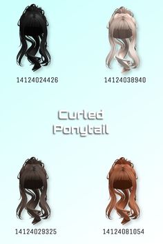 several different types of ponytails are shown in this graphic style, with the names below them