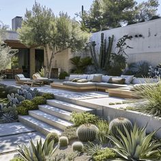 an outdoor living area with cactus and succulents in the foreground, surrounded by concrete steps