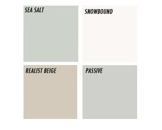 four different shades of gray and white with the words sea salt, snowbound, realist