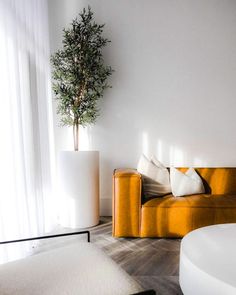 a living room filled with furniture and a potted plant