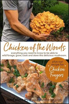 a man holding a bunch of food in his hands with the words chicken of the woods above it