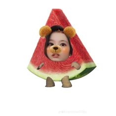 Banana Cat, Eating Watermelon, Food Costumes, Kpop Idols, Watermelon