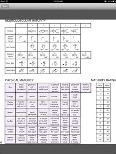 Ballard Scale Periodic Table, Physics, Education