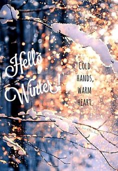 the words hello winter are written in white on a blurry background with trees and snowflakes