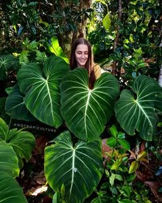 a woman is standing in the middle of large green leafy plants and smiling at the camera