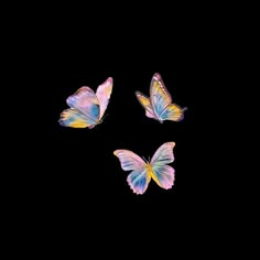 three colorful butterflies flying in the dark