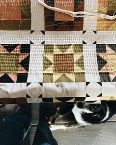 a black and white cat laying underneath a quilt