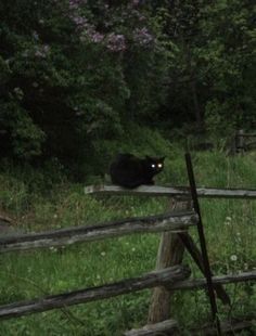 a black cat sitting on top of a wooden fence next to a lush green field