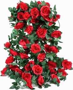 a bunch of red roses with green leaves