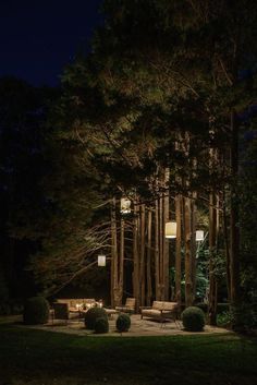 an outdoor seating area in the middle of a forest at night with lights shining on the trees