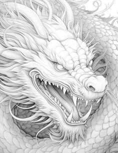 a drawing of a dragon with its mouth open