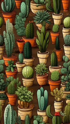 many different kinds of cactuses and cacti in pots on a brown background