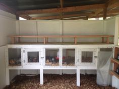 the inside of a building with many shelves filled with birds and other things in it