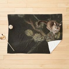 a cat sitting on top of a black rug next to a pair of knitting needles