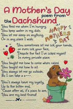 a mother's day poem with a dog in a flower pot