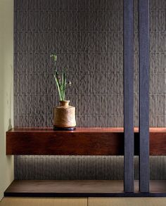 a potted plant sitting on top of a wooden shelf in front of a wall